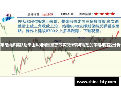 莱昂纳多离队后泰山队如何重整旗鼓实现逆袭与崛起的策略与路径分析